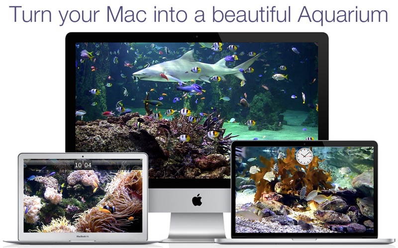 Free 3d live aquarium screensaver